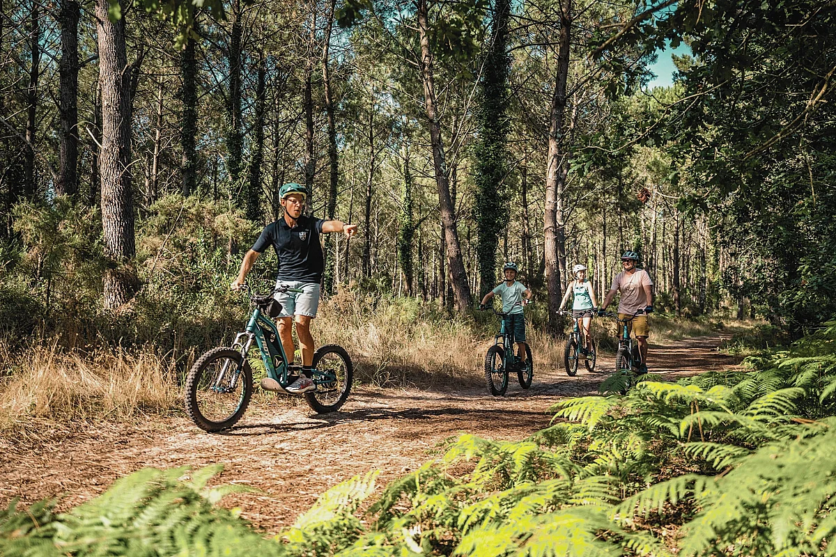 Découverte de la forêt en trottinette électrique