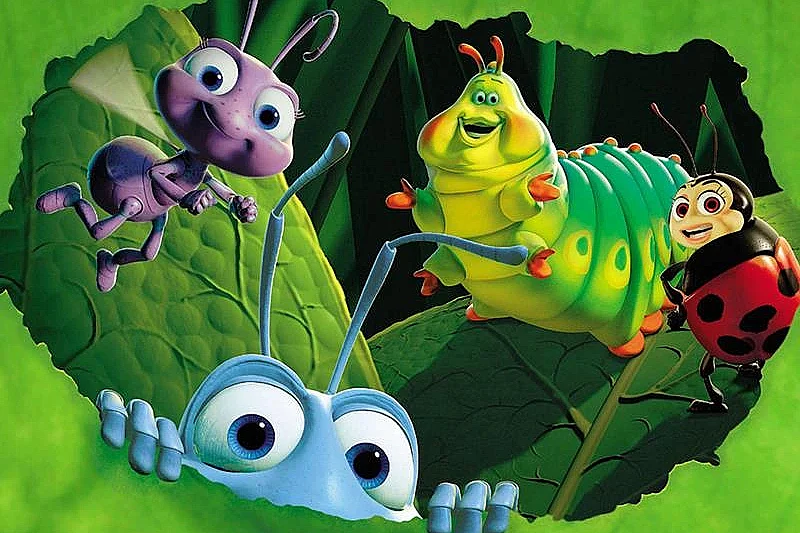 Ciné-nature 1001 pattes