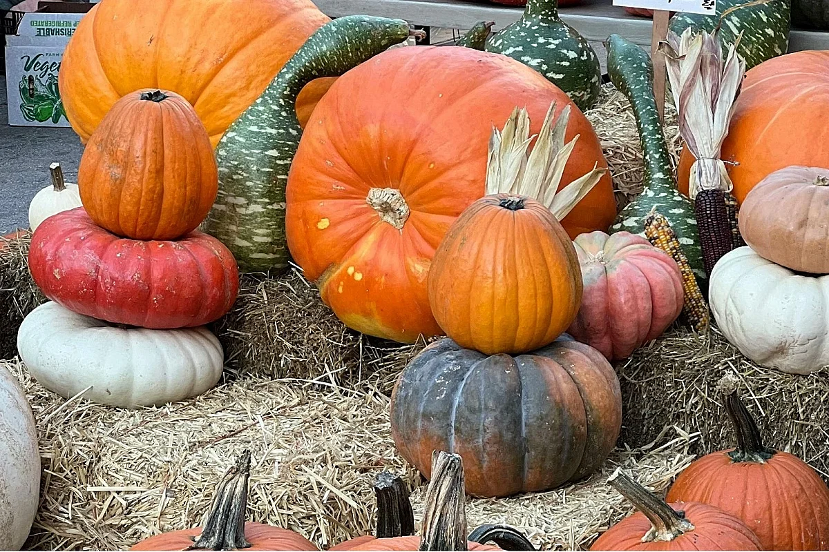 Marché d'Halloween