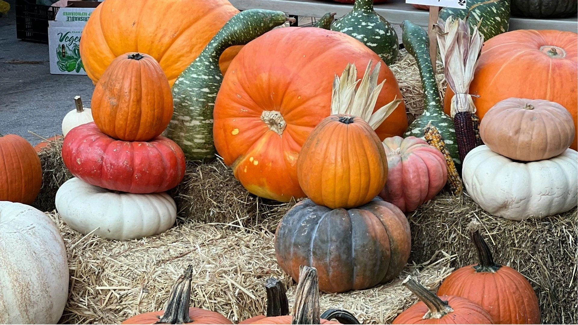 Marché d'Halloween