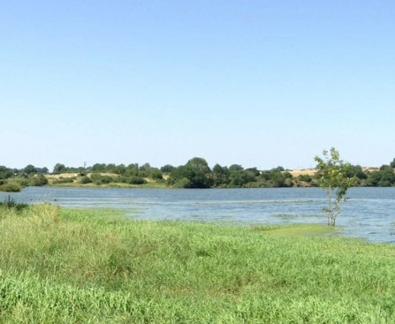 Stage de pêche des carnassiers aux leurres