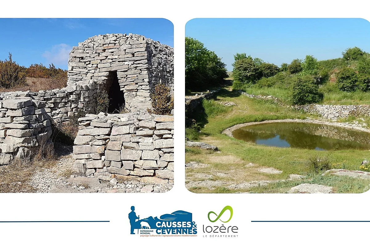 EXPOSITION LAVOGNES ET CAZELLES