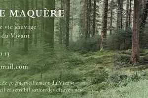 Fête des saisons autrement 1/8 ; Samhain