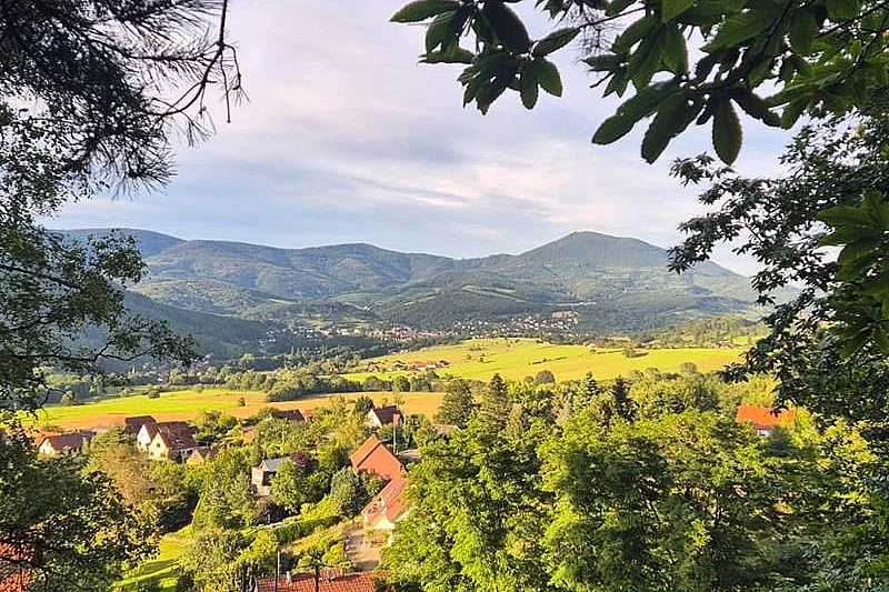 Stage bien être, weekend yoga rando méditation en Alsace