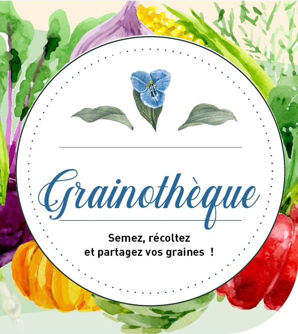 Atelier - Partage "Grainothèque"
