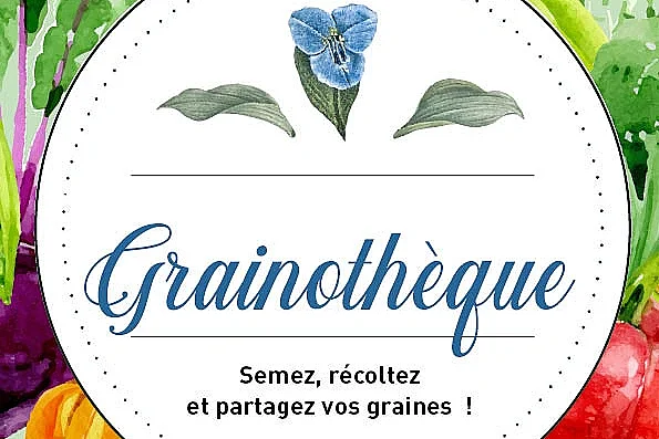 Atelier - Partage "Grainothèque"