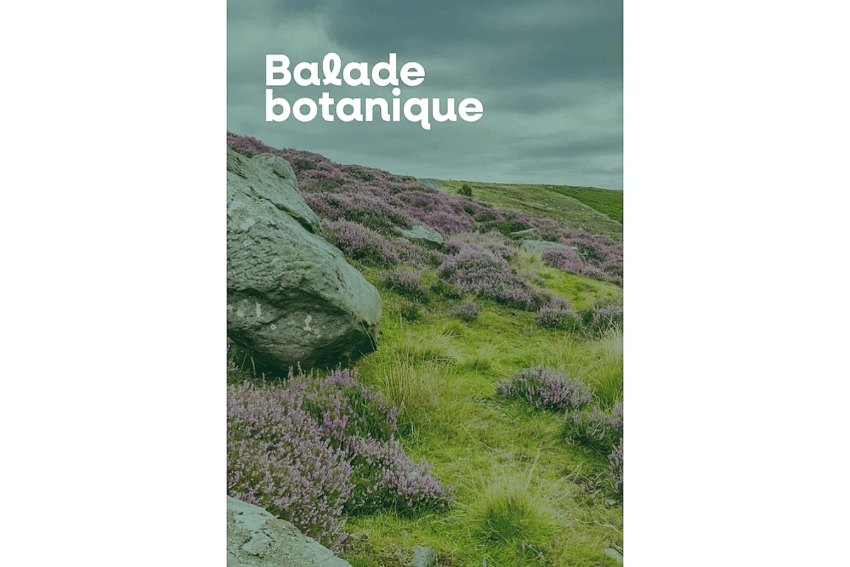 Balade botanique