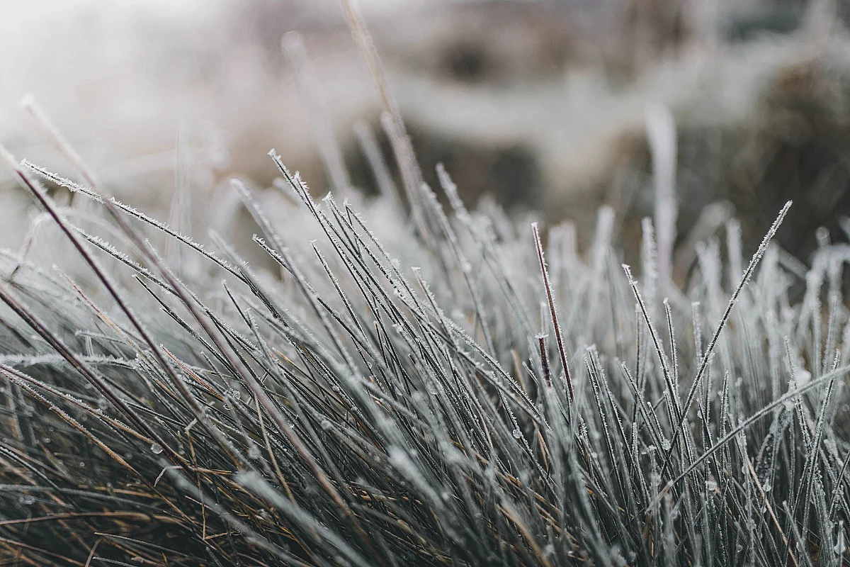 La nature en hiver, à la réserve départementale de biodiversité d'Argentat