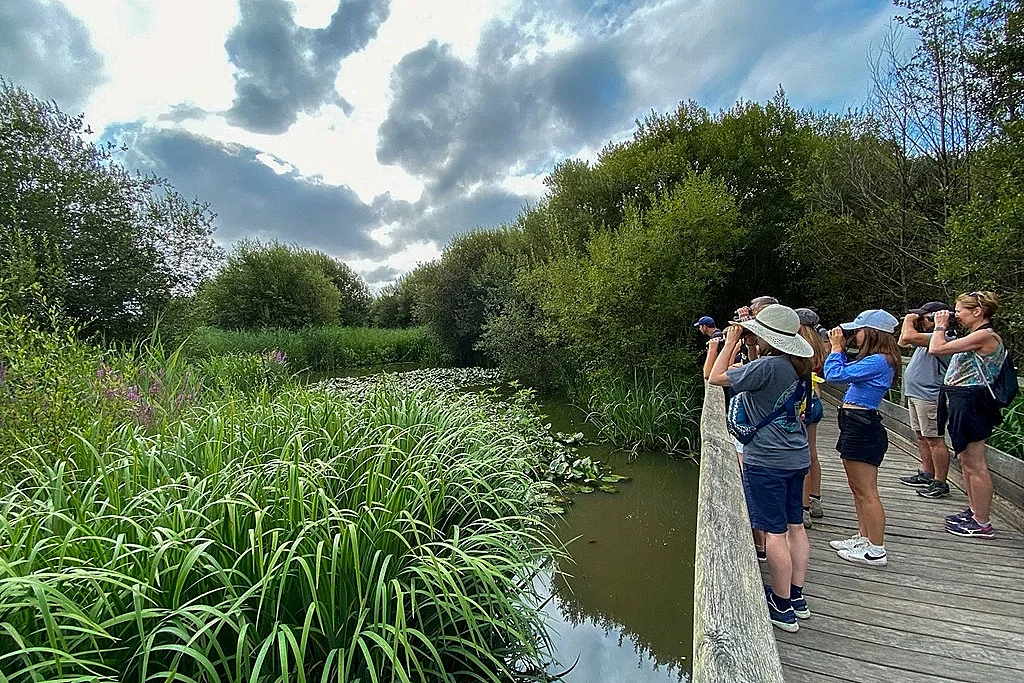 Découverte du Marais d'Orx