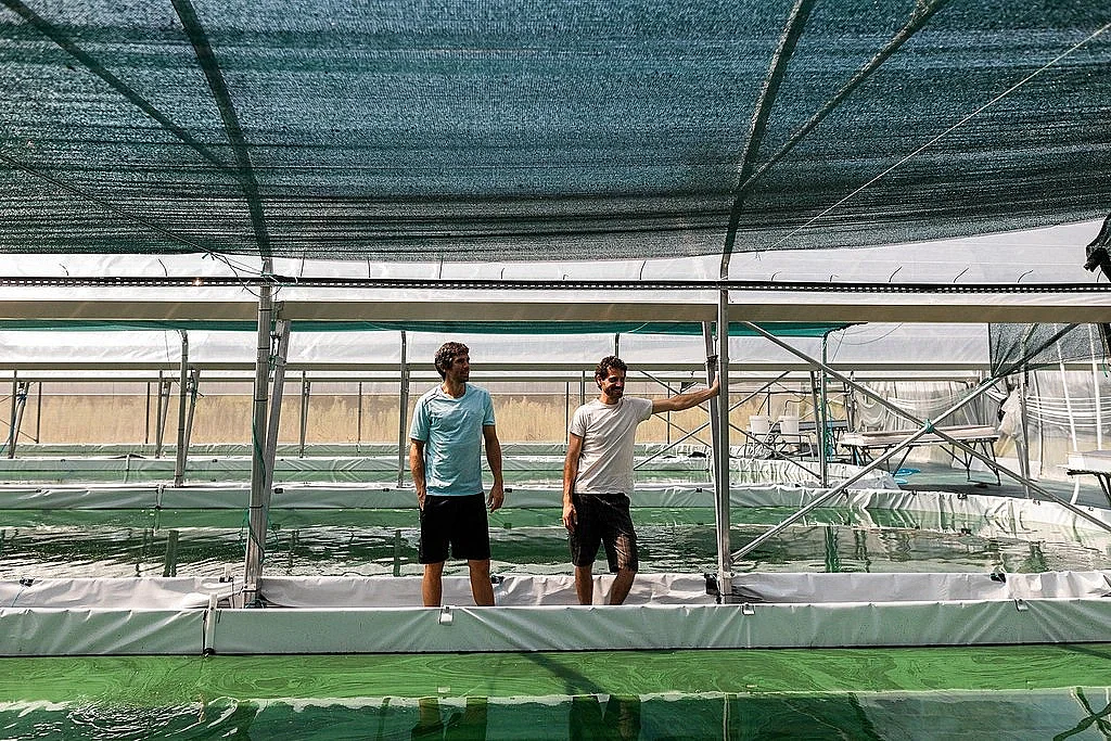 Ici, nos savoir-faire - Visite Spir'up - Spiruline des Pyrénées