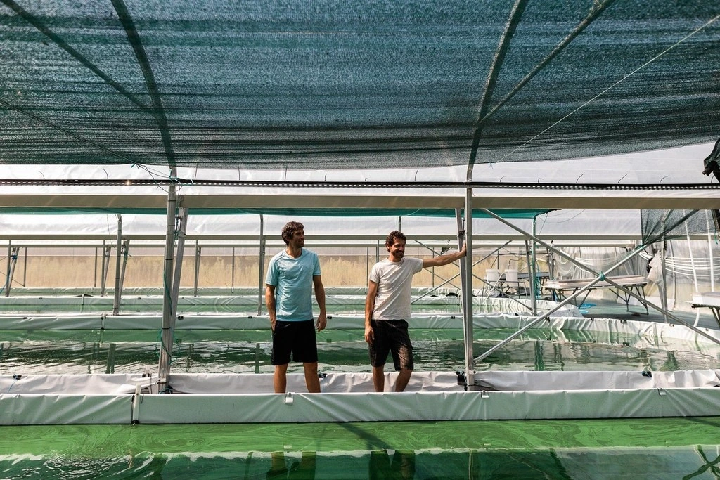 Ici, nos savoir-faire - Visite Spir'up - Spiruline des Pyrénées