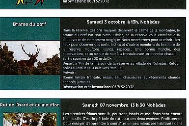 RUT DE L'ISARD ET DU MOUFLON