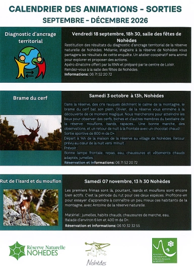 RUT DE L'ISARD ET DU MOUFLON