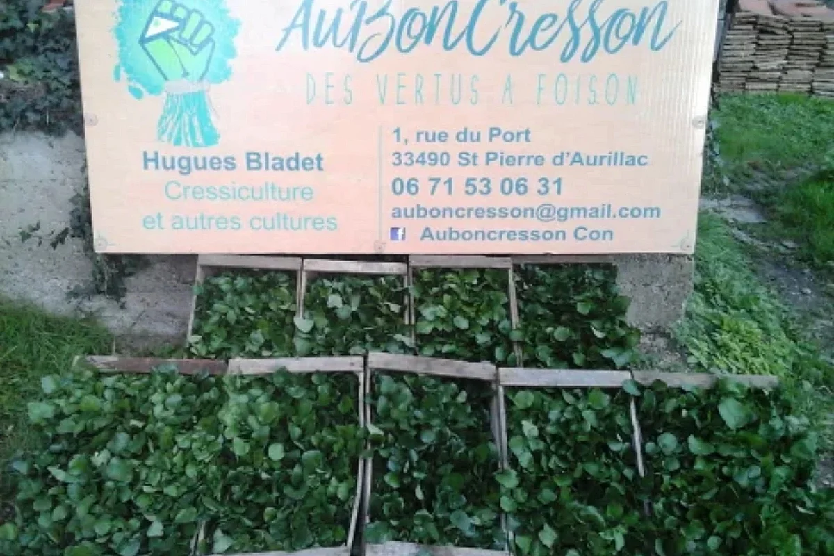Ici, nos savoir-faire - Visite de l'exploitation "Au bon Cresson"