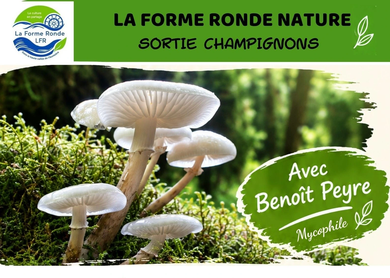 Sortie champignons