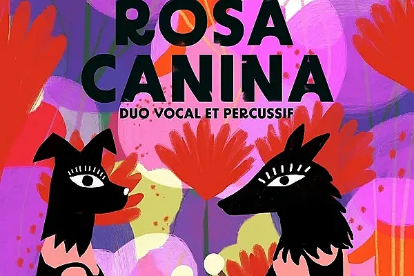 Concert : Rosa Canina