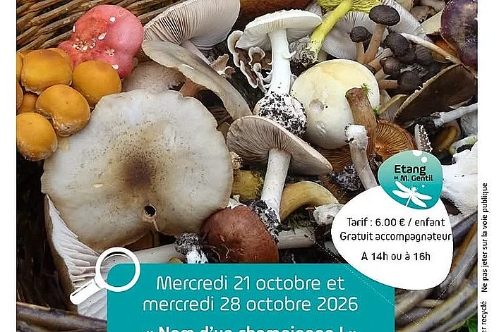 Nom d'un champignon !