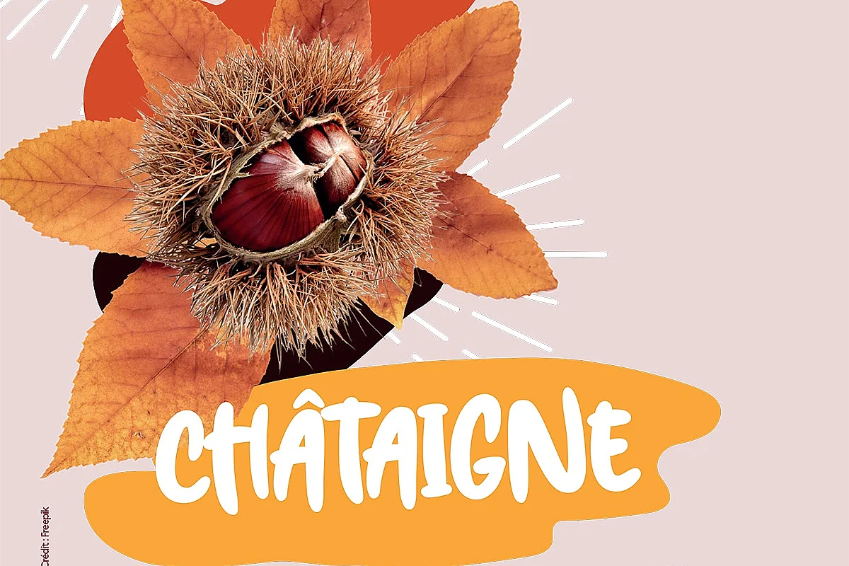 FOIRE DE LA CHÂTAIGNE
