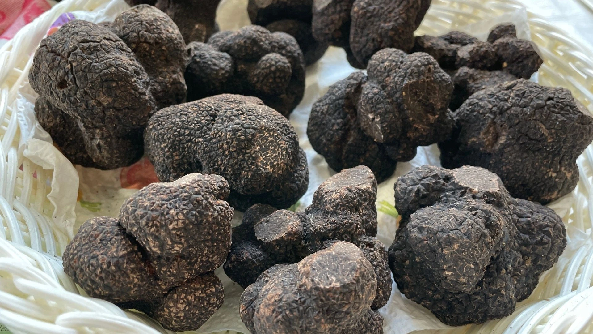 Marché aux truffes - Dimanches matins Décembre et janvier - Sorges
