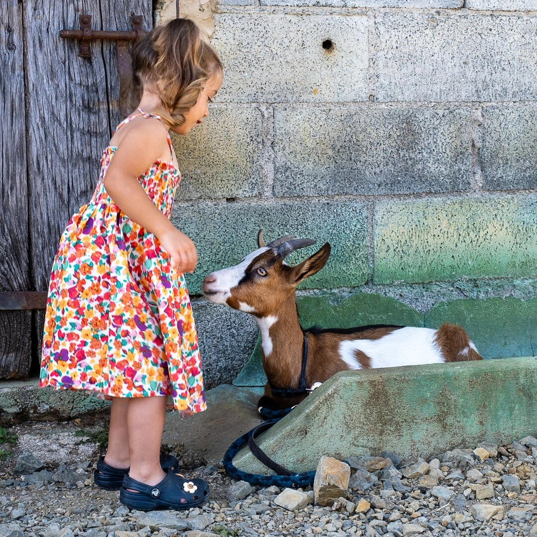 Visite active et pédagogique de la ferme