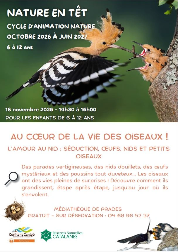 NATURE EN TÊT: L'AMOUR AU NID, SÉDUCTION, OEUFS, NIDS ET PETITS OISEAUX