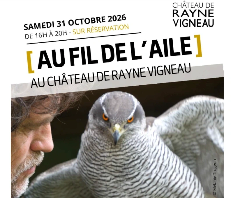 Au fil de l'aile