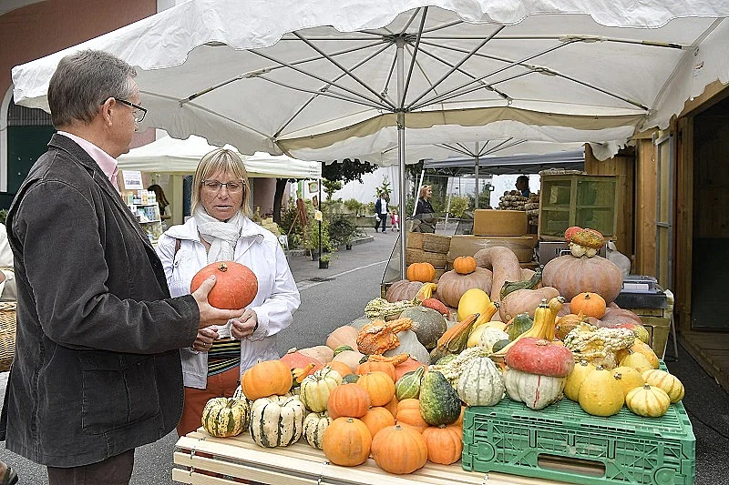 Marché traditionnel