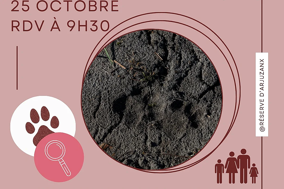 Il est passé par ici, Il repassera par là...