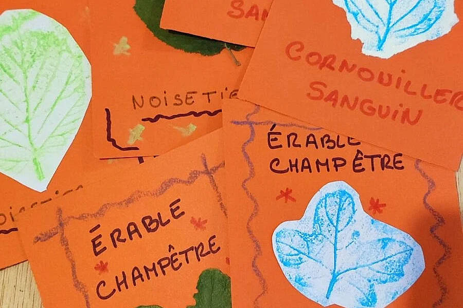 Memory d'arbre