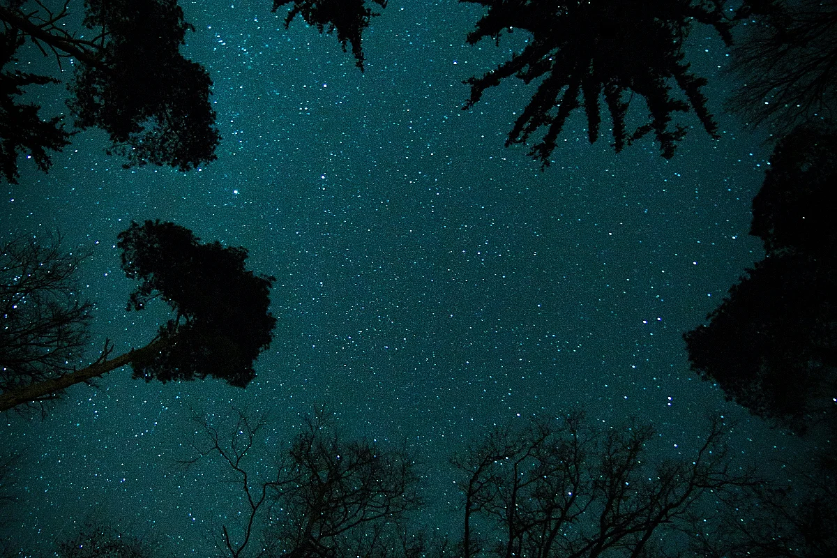 La nature la nuit, réserve départementale de biodiversité d'Argentat