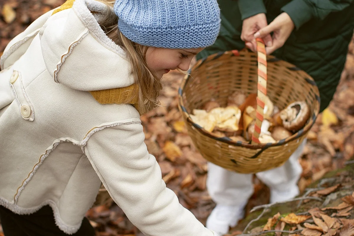 Découverte des champignons d'automne !