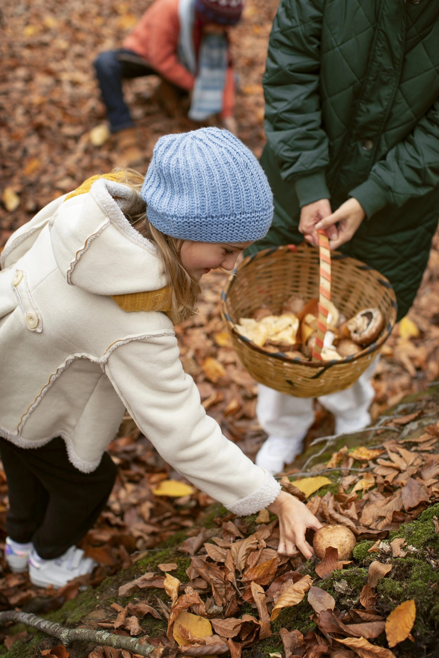 Découverte des champignons d'automne !