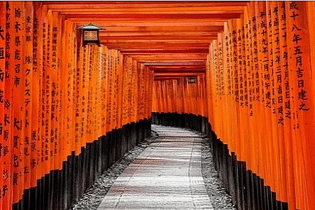 Les instants de la Micro-Folie - Visite libre - Quand les impressionnistes découvrent le Japon