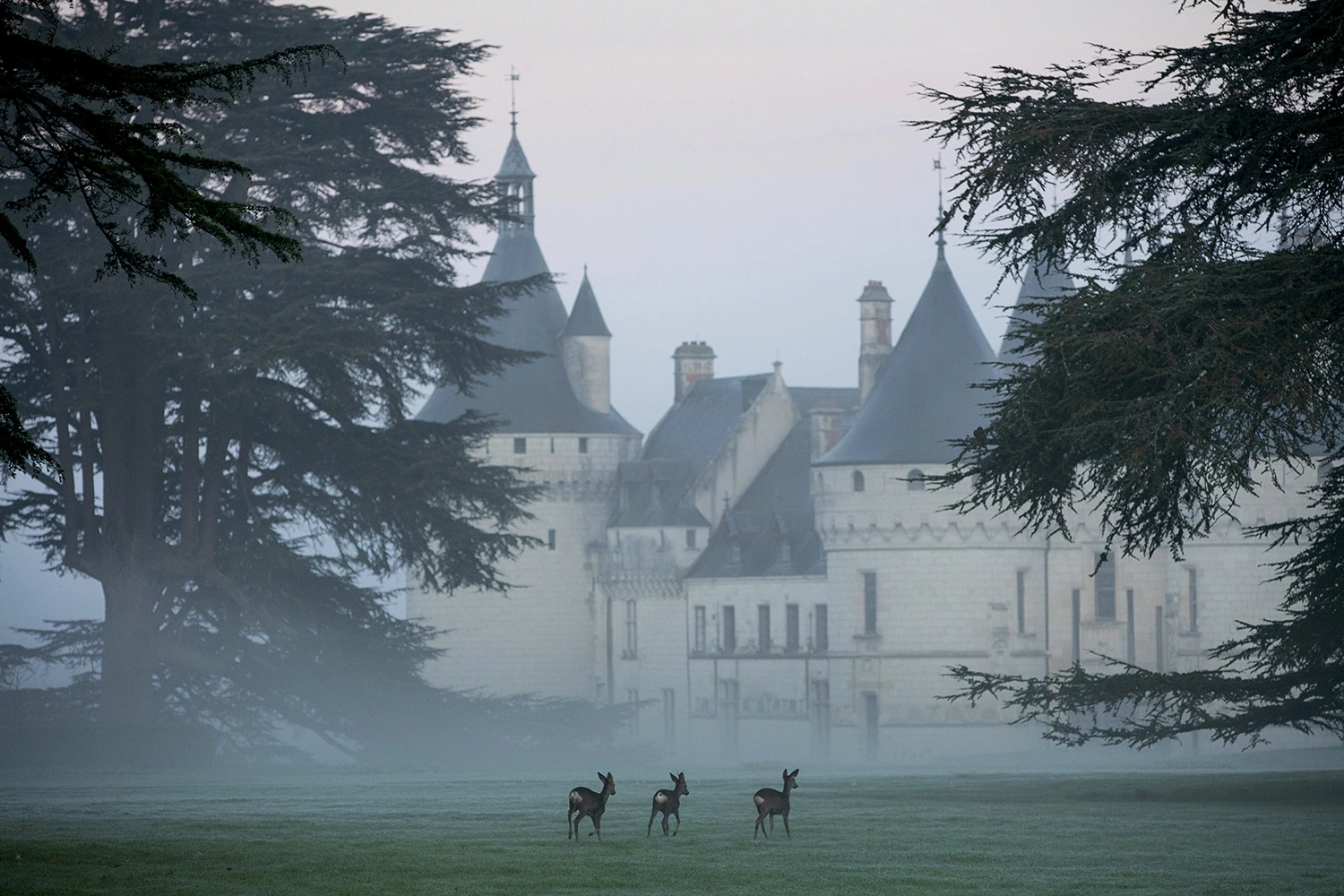 Noël au château de Chaumont-sur-Loire - Chasse au trésor