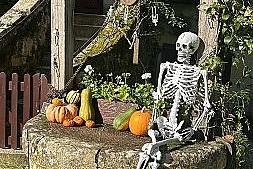Journée spéciale « Halloween » au Parc Floral d'Apremont-sur-Allier