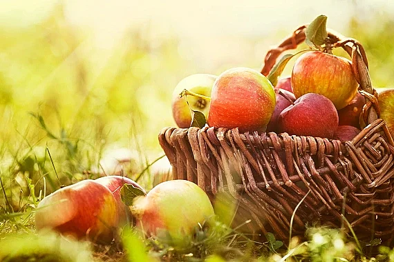 Fête de l'automne