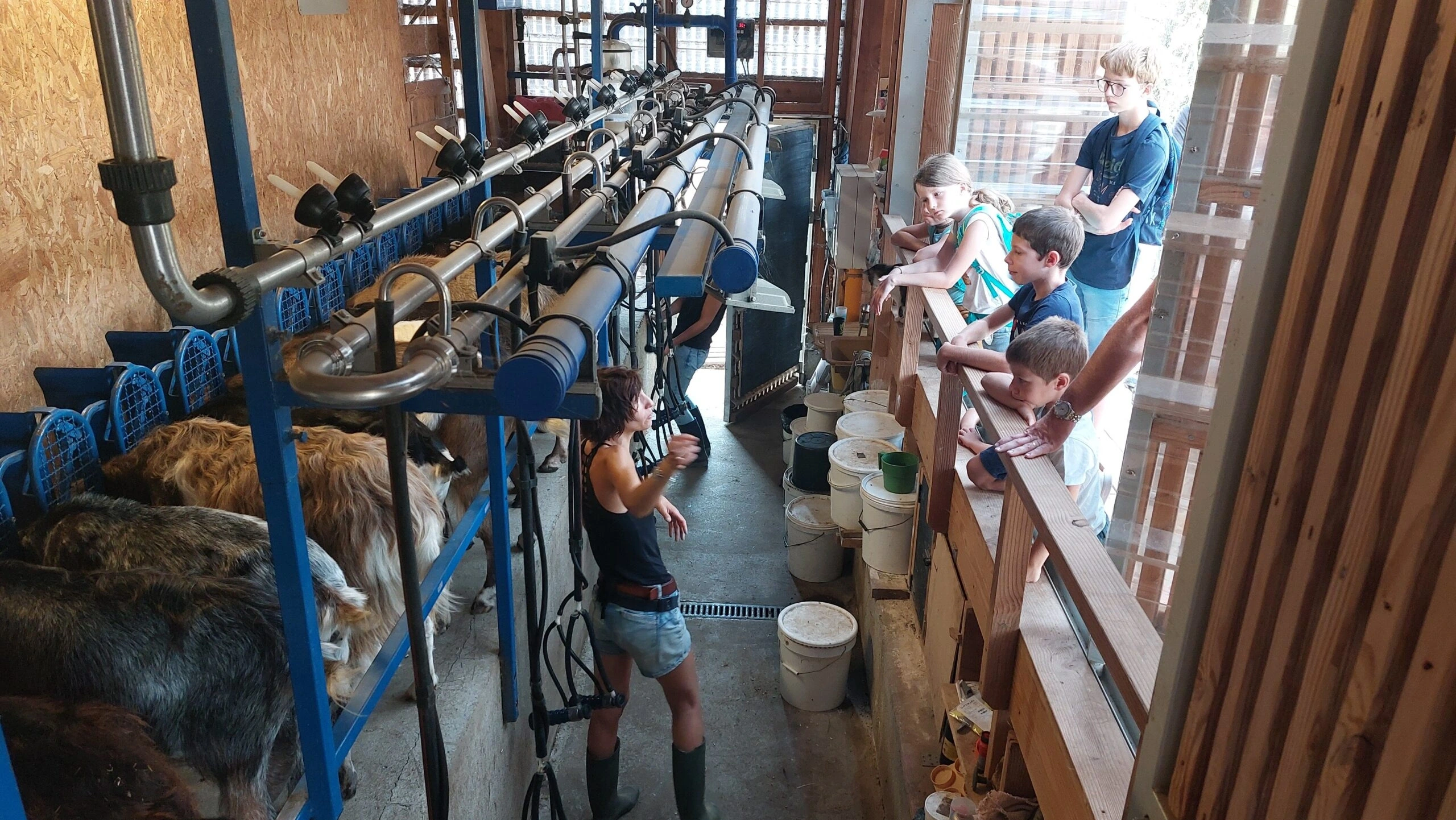 Matinée famille à la ferme Bibane