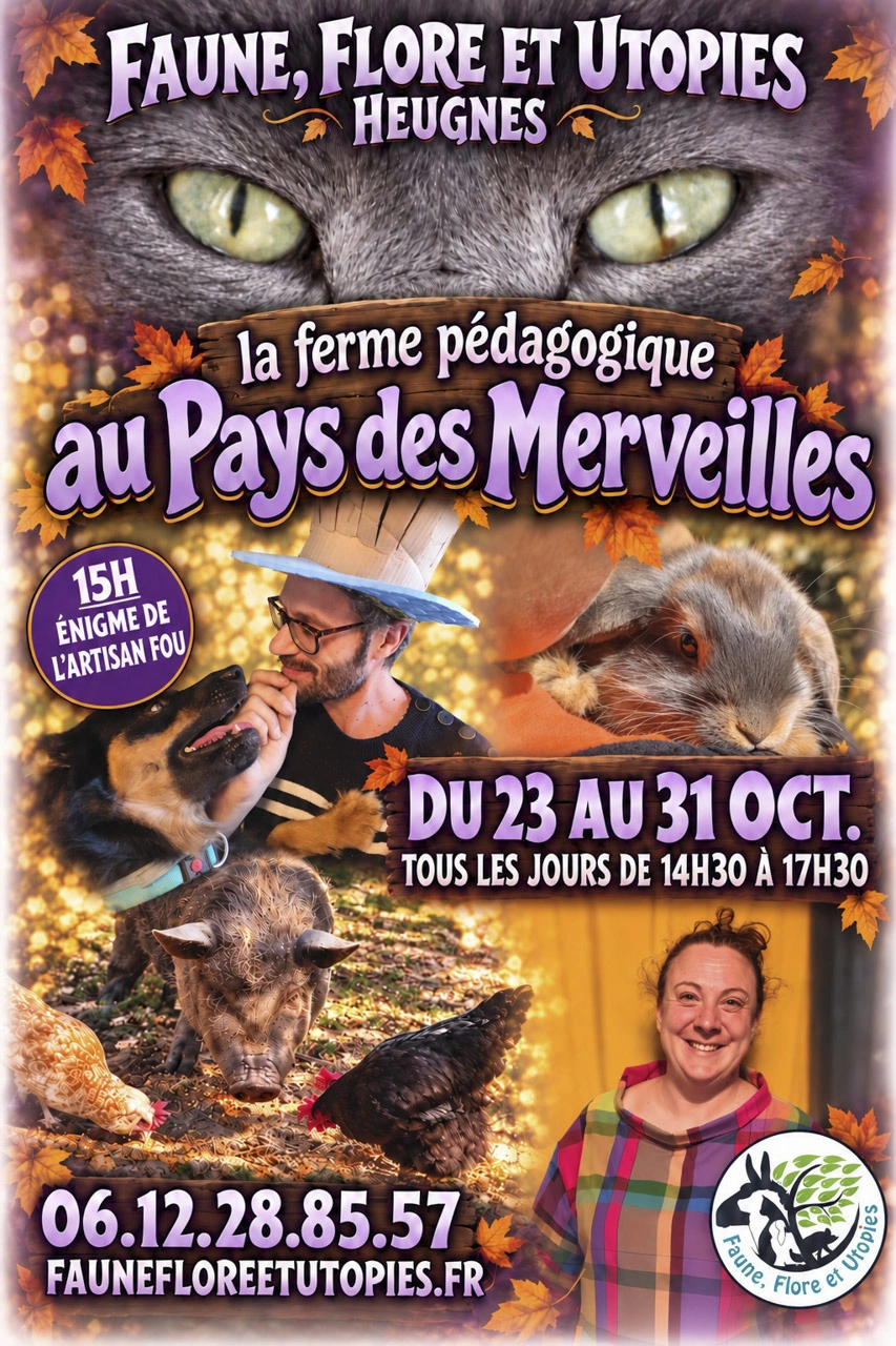 Halloween aux pays des merveilles !