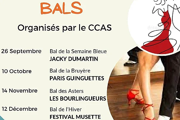 Bal des Asters