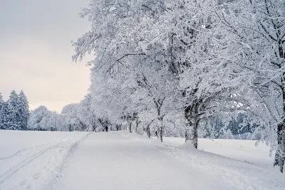 Winterreise : Voyage d'hiver de Schubert