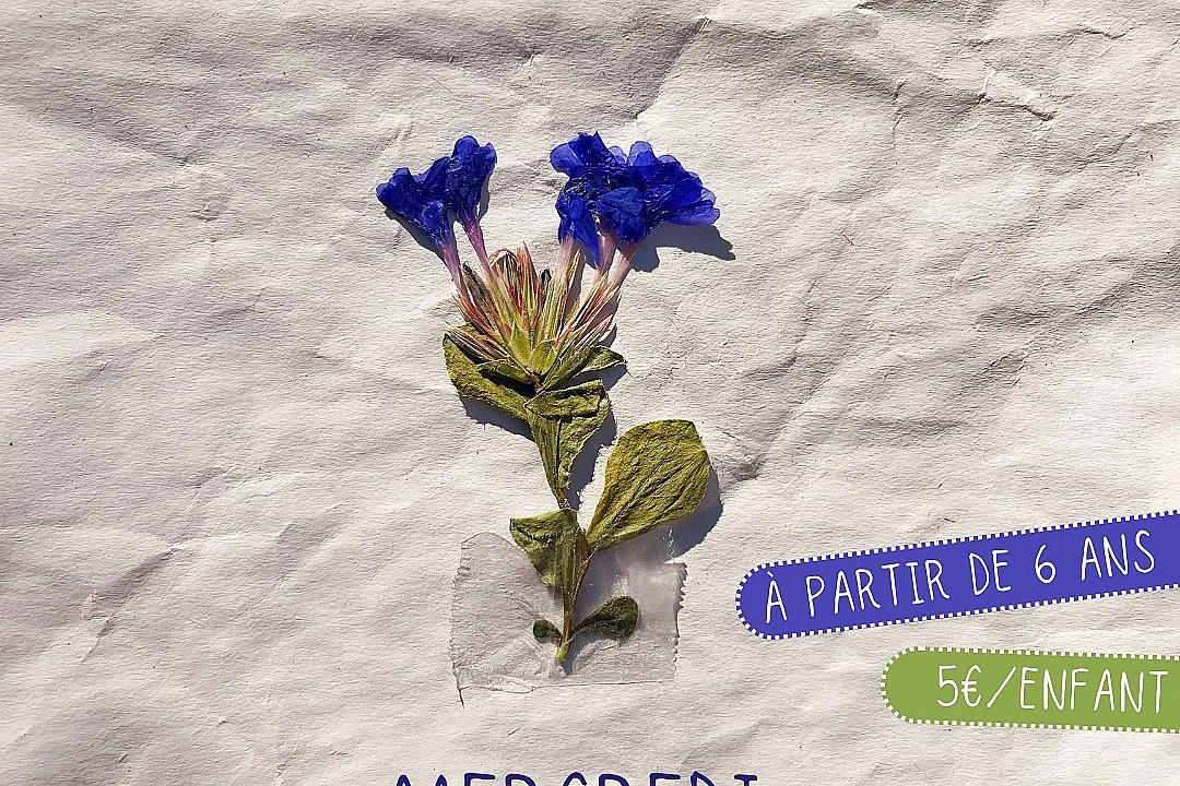 Exploration botanique, Création d'un herbier fantastique - à Niort