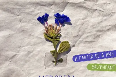 Exploration botanique, Création d'un herbier fantastique - à Niort