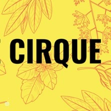 Chantiers de Cirque - Théâtre du Grand Rond - Toulouse