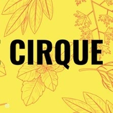 Chantiers de Cirque - Théâtre du Grand Rond - Toulouse