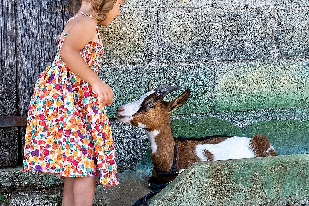 Visite active et pédagogique de la ferme