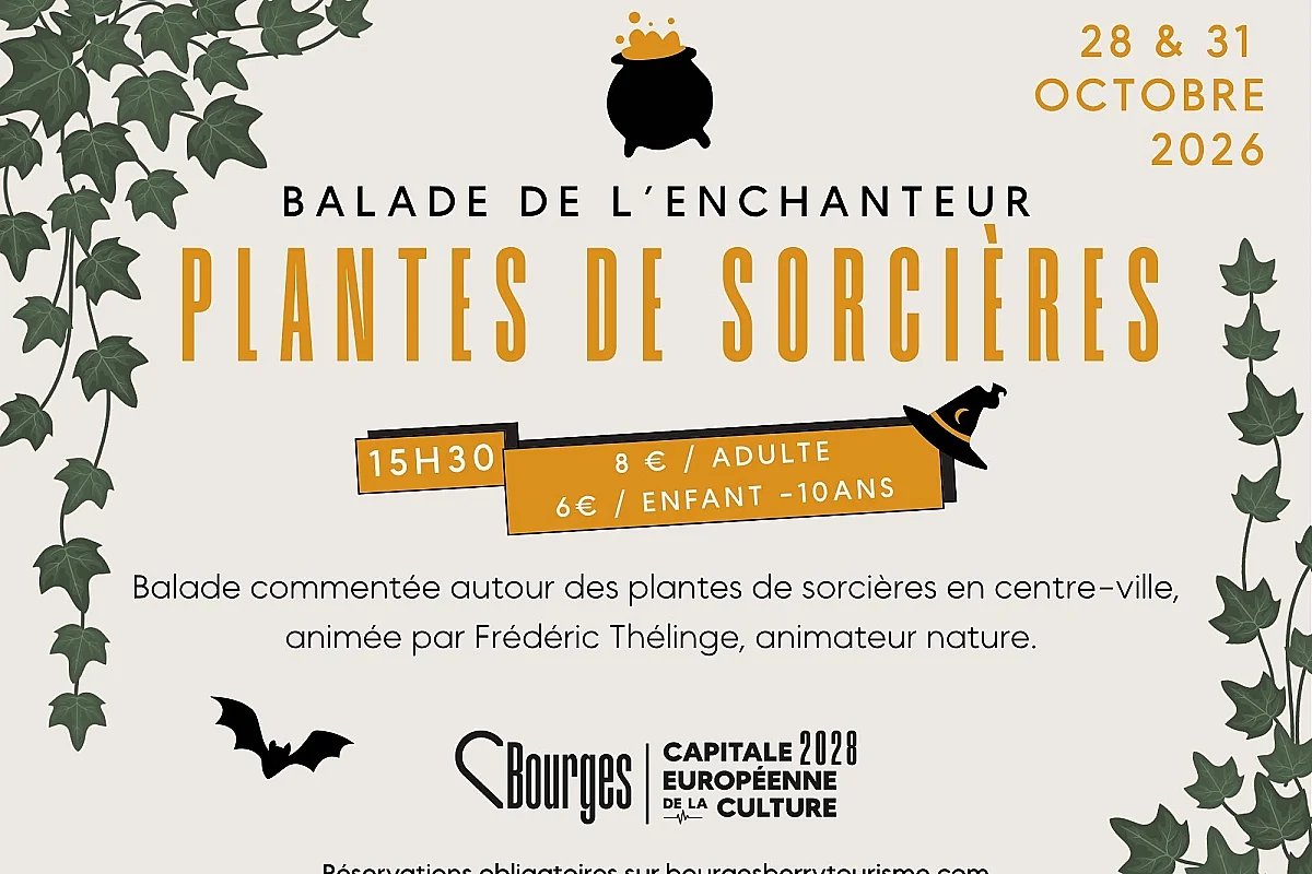 Balade de l'enchanteur : Plantes de sorcières