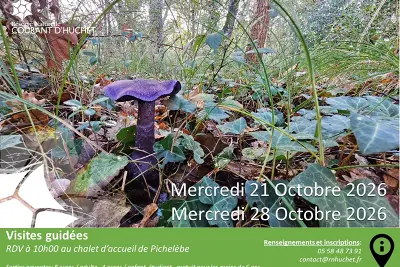 Partez à la découverte de la Réserve Naturelle du Courant d'Huchet