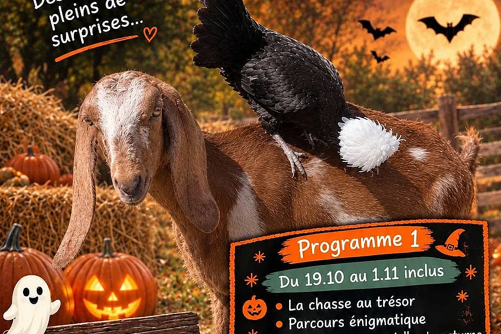 Activités Halloween au Parc des Petites Merveilles