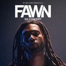Fawn