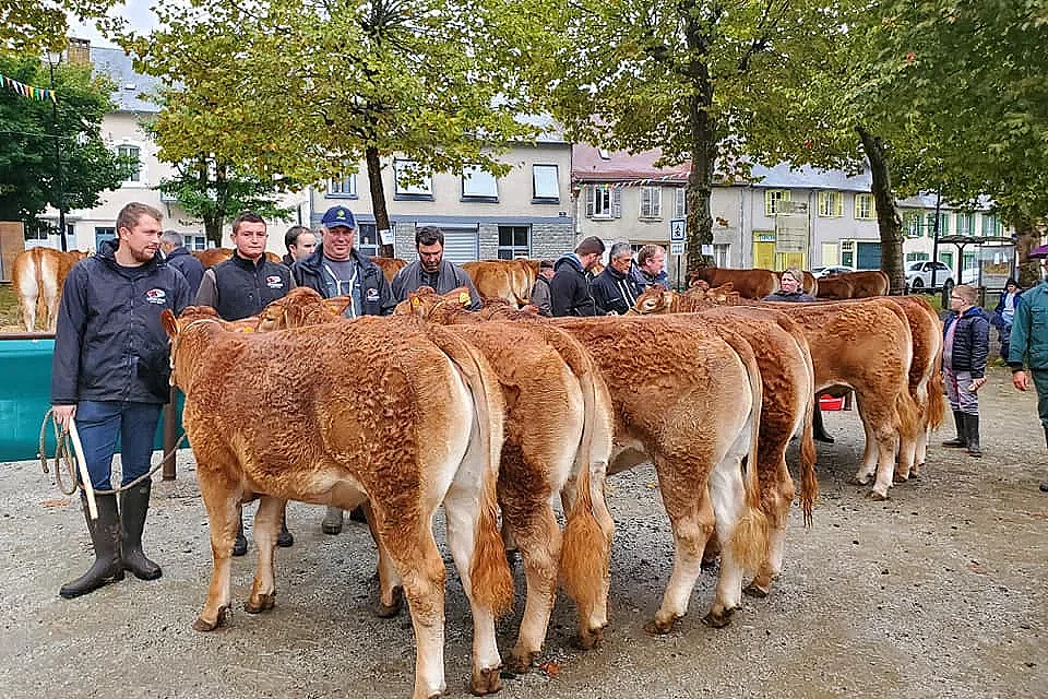 Comice agricole